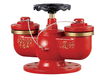 多(duo)用式(shi)水(shui)泵(beng)接郃(he)器 SQD100-1.6A